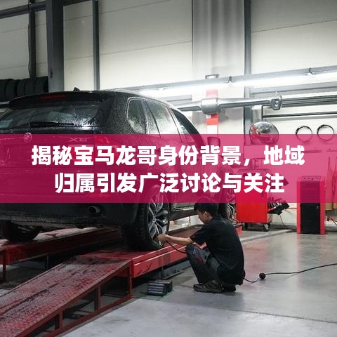 揭秘寶馬龍哥身份背景，地域歸屬引發廣泛討論與關注