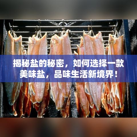 揭秘鹽的秘密，如何選擇一款美味鹽，品味生活新境界！