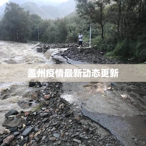 蓋州疫情最新動態(tài)更新