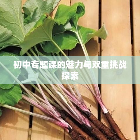 初中專題課的魅力與雙重挑戰探索