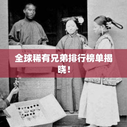 全球稀有兄弟排行榜單揭曉！