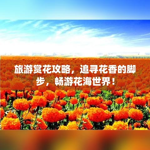 旅游賞花攻略，追尋花香的腳步，暢游花海世界！