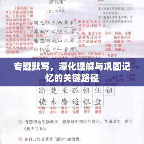 專題默寫，深化理解與鞏固記憶的關鍵路徑