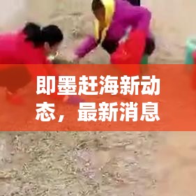 即墨趕海新動態(tài)，最新消息一網(wǎng)打盡！