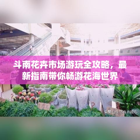 斗南花卉市場游玩全攻略，最新指南帶你暢游花海世界