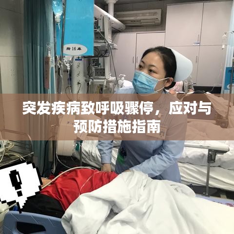 突發疾病致呼吸驟停，應對與預防措施指南
