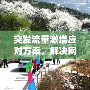 突發(fā)流量激增應(yīng)對方案，解決網(wǎng)絡(luò)流量挑戰(zhàn)的策略