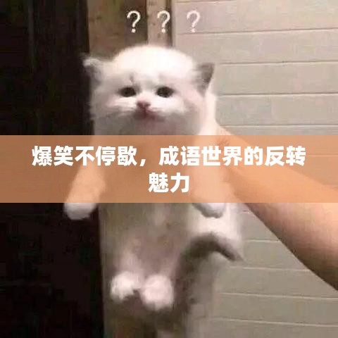 爆笑不停歇，成語世界的反轉魅力