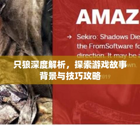 只狼深度解析，探索游戲故事背景與技巧攻略