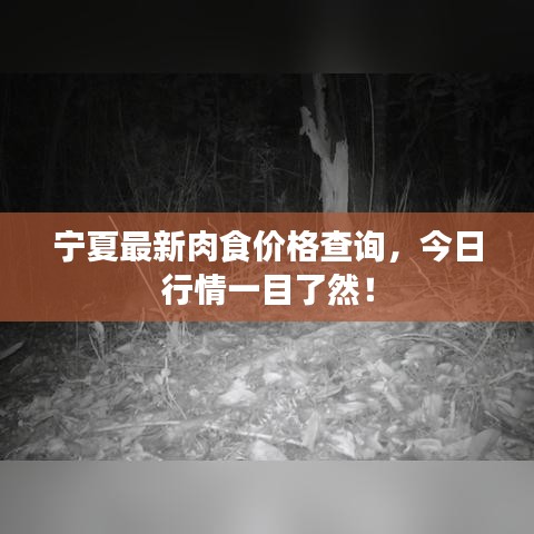 寧夏最新肉食價格查詢，今日行情一目了然！