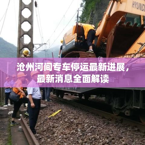 滄州河間專車停運(yùn)最新進(jìn)展，最新消息全面解讀