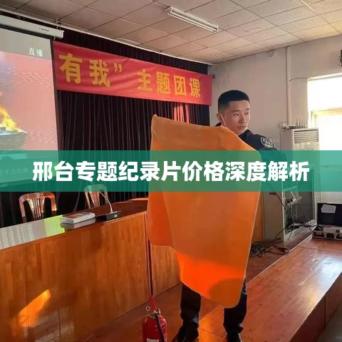 邢臺專題紀錄片價格深度解析