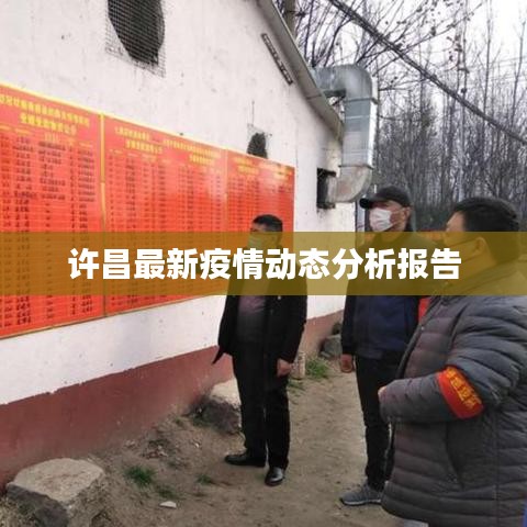 許昌最新疫情動態分析報告