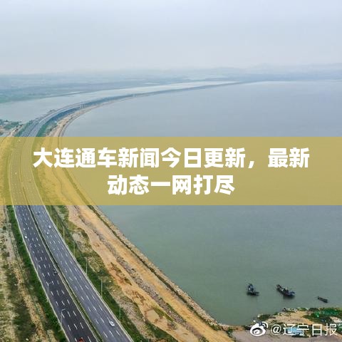 大連通車新聞今日更新，最新動態一網打盡