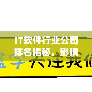 IT軟件行業公司排名揭秘，影響力深度解析！