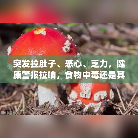 突發拉肚子、惡心、乏力，健康警報拉響，食物中毒還是其他健康問題？