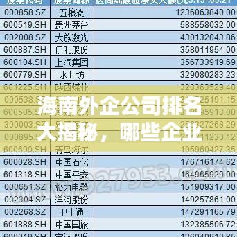 海南外企公司排名大揭秘，哪些企業(yè)領(lǐng)跑海南外資企業(yè)榜單？