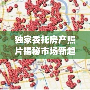 獨家委托房產照片揭秘市場新趨勢