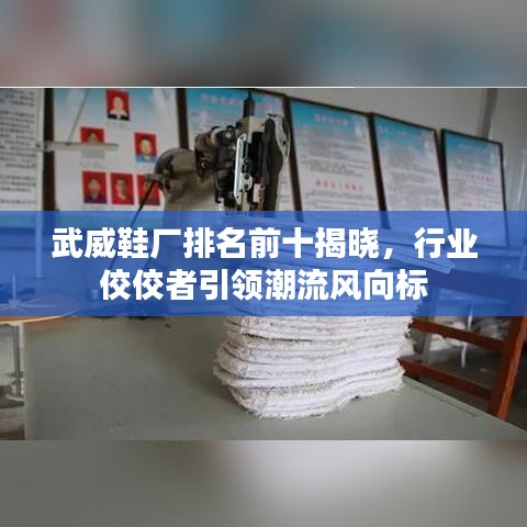 武威鞋廠排名前十揭曉，行業(yè)佼佼者引領潮流風向標
