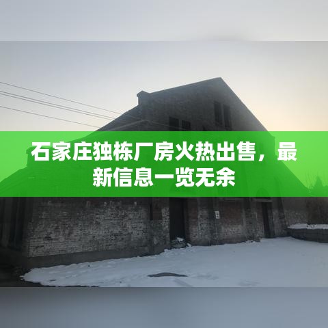 石家莊獨棟廠房火熱出售，最新信息一覽無余