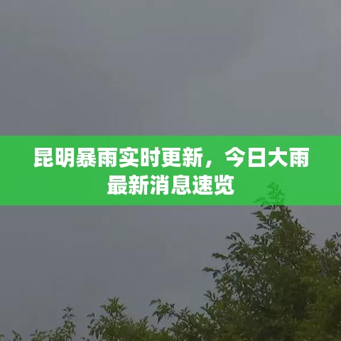 昆明暴雨實時更新，今日大雨最新消息速覽