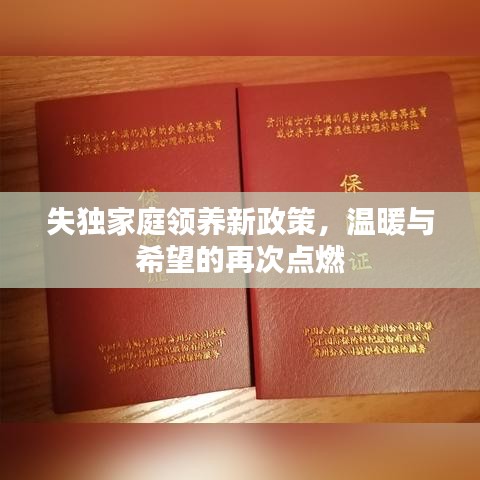 失獨(dú)家庭領(lǐng)養(yǎng)新政策，溫暖與希望的再次點(diǎn)燃
