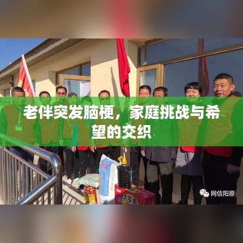 老伴突發(fā)腦梗，家庭挑戰(zhàn)與希望的交織