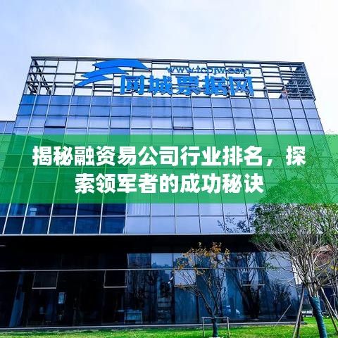 揭秘融資易公司行業(yè)排名，探索領(lǐng)軍者的成功秘訣