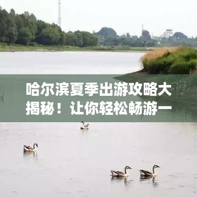 哈爾濱夏季出游攻略大揭秘！讓你輕松暢游一夏！