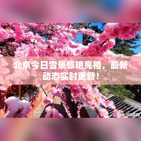 北京今日雪景驚艷亮相，最新動態實時更新！