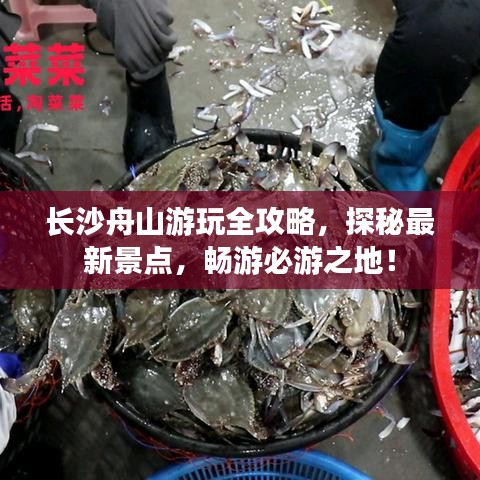 長沙舟山游玩全攻略，探秘最新景點，暢游必游之地！
