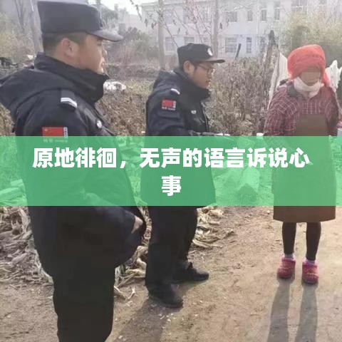 原地徘徊，無聲的語言訴說心事