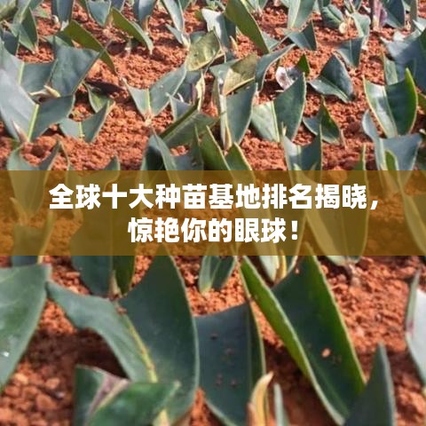 全球十大種苗基地排名揭曉，驚艷你的眼球！