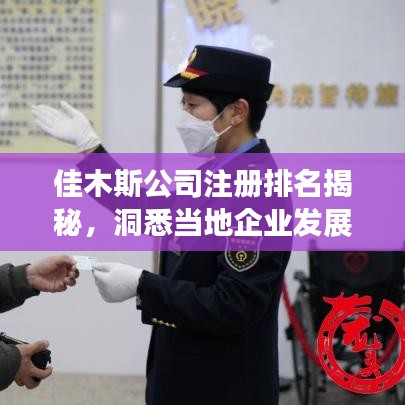 佳木斯公司注冊排名揭秘，洞悉當地企業發展的龍頭格局