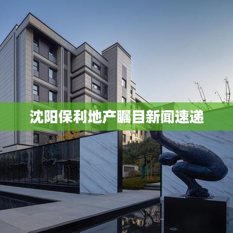 沈陽保利地產矚目新聞速遞