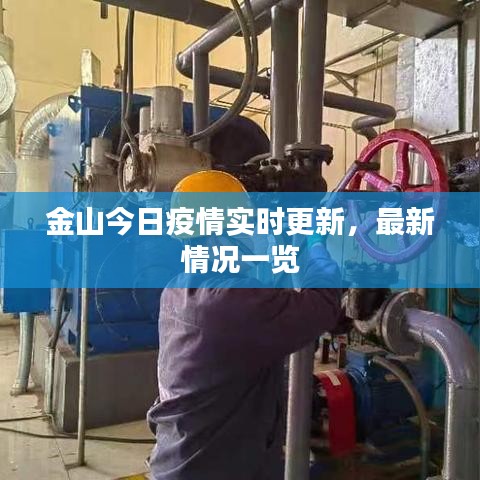 金山今日疫情實時更新，最新情況一覽