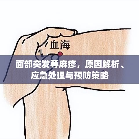 面部突發蕁麻疹，原因解析、應急處理與預防策略