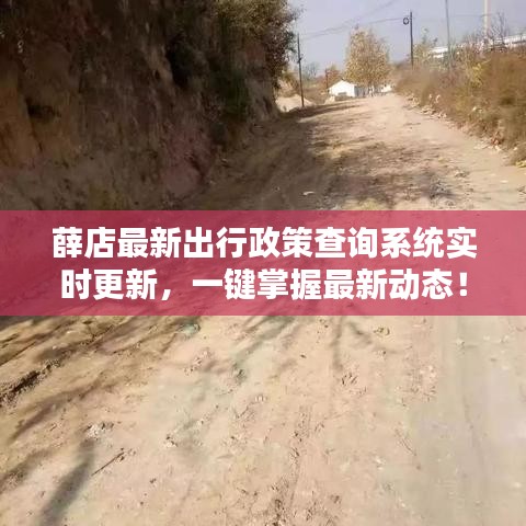 薛店最新出行政策查詢系統實時更新，一鍵掌握最新動態！