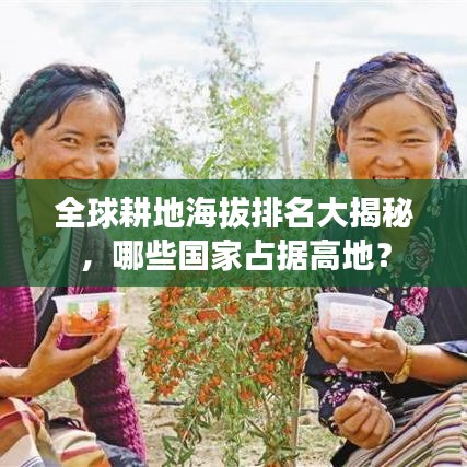 全球耕地海拔排名大揭秘，哪些國家占據(jù)高地？