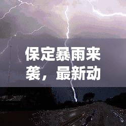 保定暴雨來襲，最新動態、影響分析與實時消息速遞