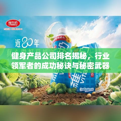 健身產品公司排名揭秘，行業領軍者的成功秘訣與秘密武器