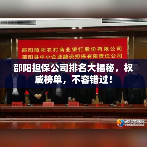 邵陽擔保公司排名大揭秘，權威榜單，不容錯過！