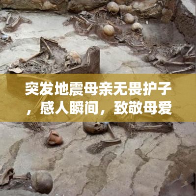突發地震母親無畏護子，感人瞬間，致敬母愛