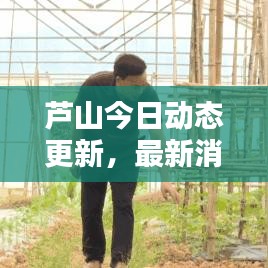 蘆山今日動態更新，最新消息匯總