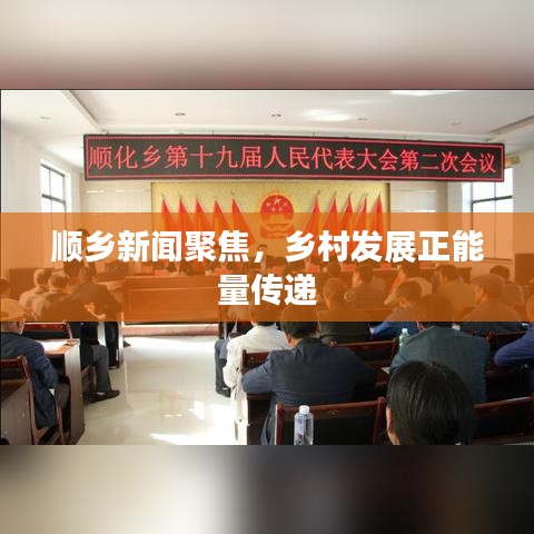 順鄉新聞聚焦，鄉村發展正能量傳遞