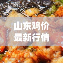 山東雞價(jià)最新行情走勢分析，今日市場動(dòng)態(tài)揭秘