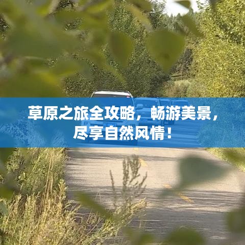 草原之旅全攻略，暢游美景，盡享自然風情！