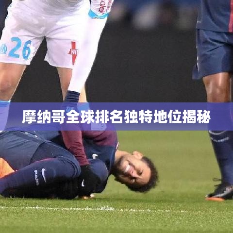 2025年1月 第5頁