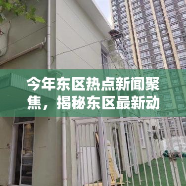 今年東區熱點新聞聚焦，揭秘東區最新動態