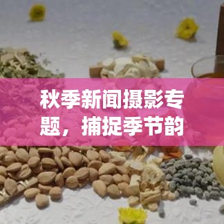 秋季新聞攝影專題，捕捉季節韻味與時代脈搏的絕美瞬間